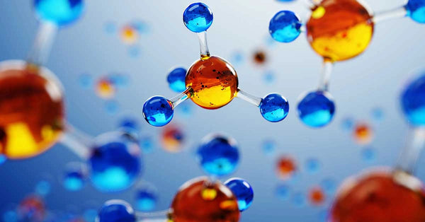 Alpha-GPC (Glycerophosphocholine) – 20 mg