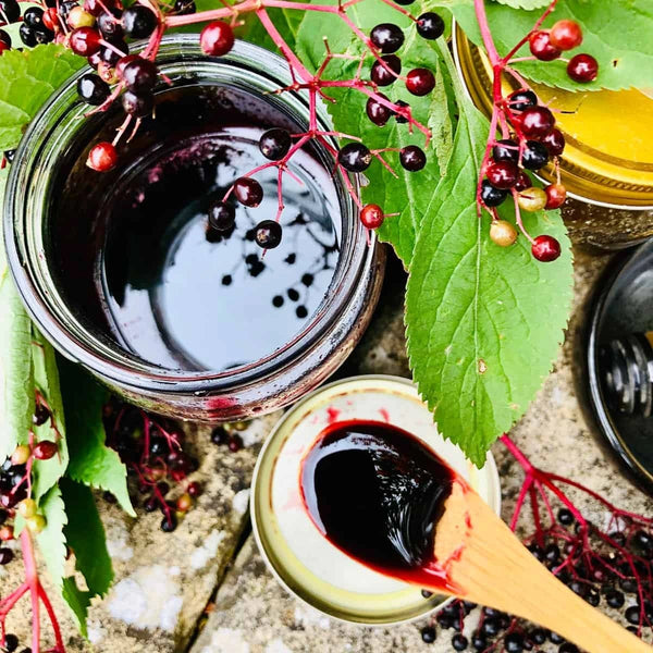 Elderberry Juice Concentrate (Sambucus nigra) – 20 mg