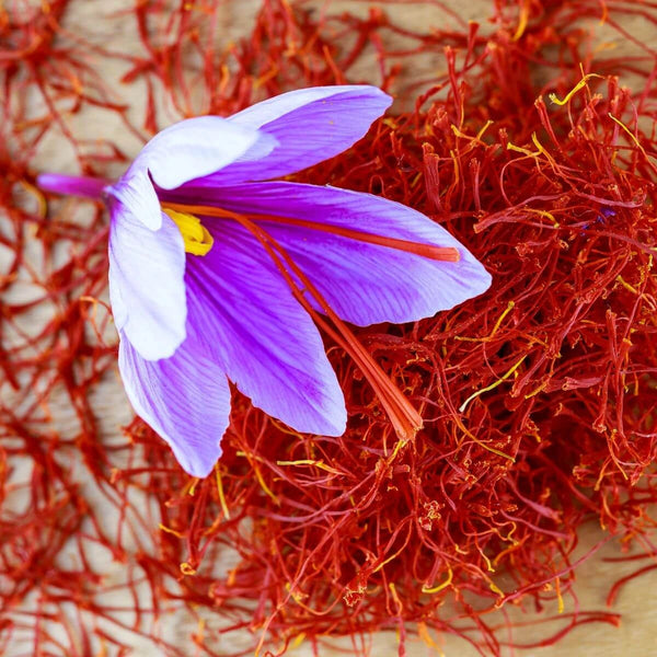 Saffron Extract (Crocus sativus) – 14 mg